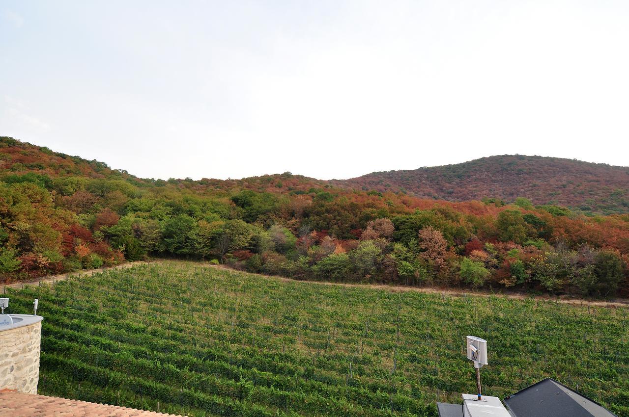 Babaneuris Marani Otel Dış mekan fotoğraf